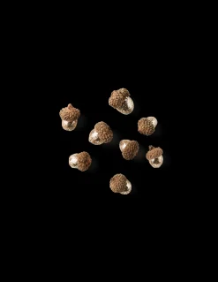 Søstrene Grene Julepynt|Dekoration^Agern Med Glimmer