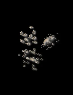 Søstrene Grene Armbånd^Armbåndskit