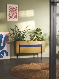 Søstrene Grene Vaser Og Potter^AWE Plantekasse