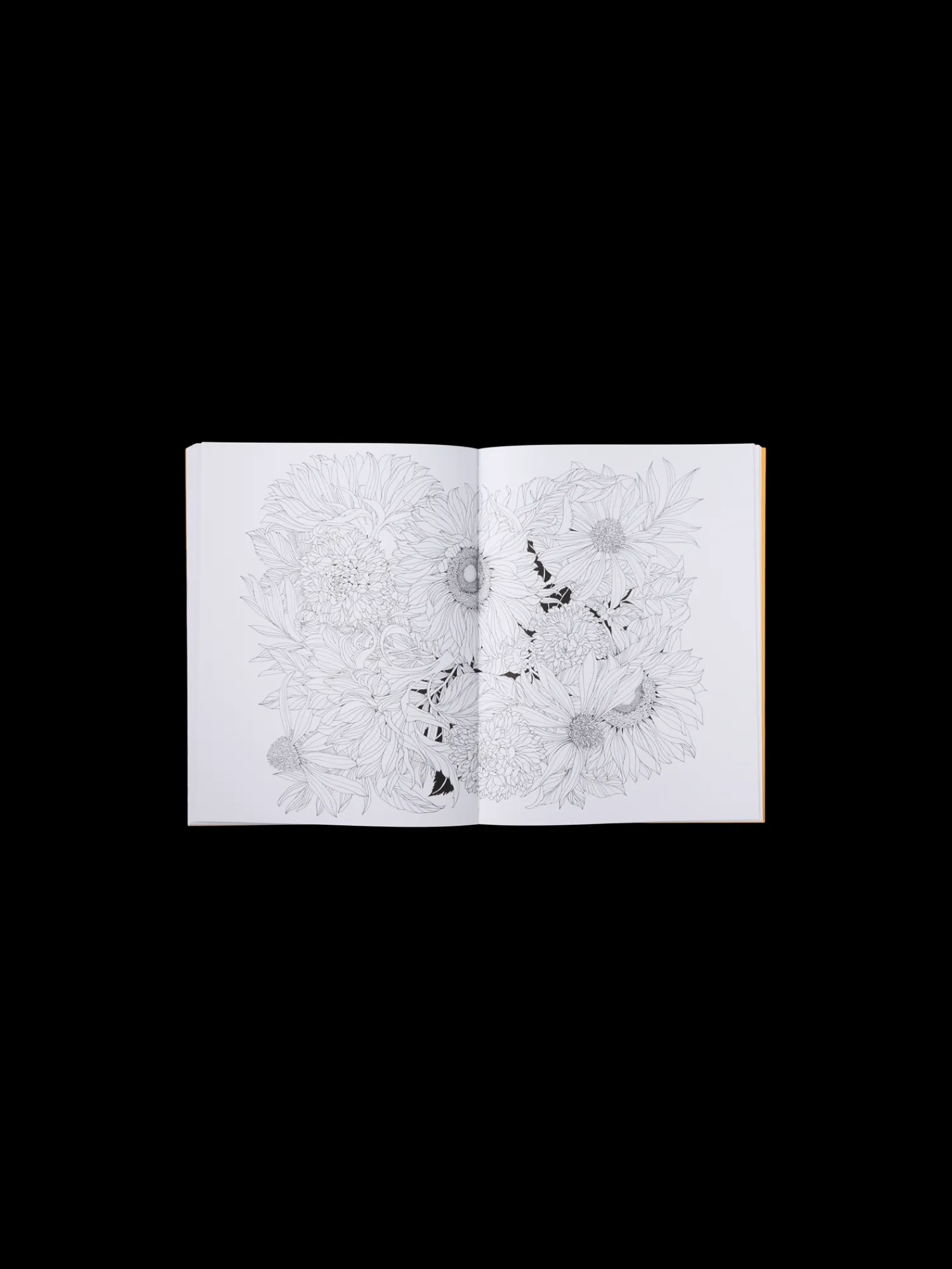 Søstrene Grene Coffee Table Books^Beautiful Planet Colouring Book