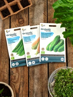 Søstrene Grene Have^Buzzy® økologiske Record ærtefrø