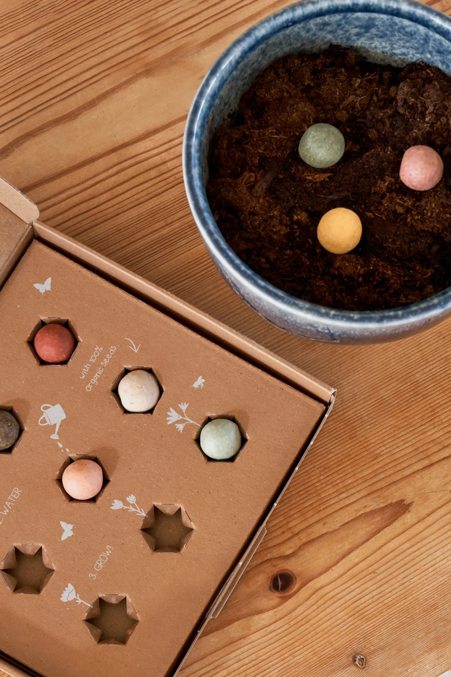 Søstrene Grene Dekoration^Colour Garden Frøbomber