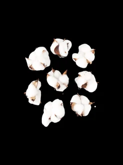 Søstrene Grene Dekoration^Dekorative Bomuldsblomster