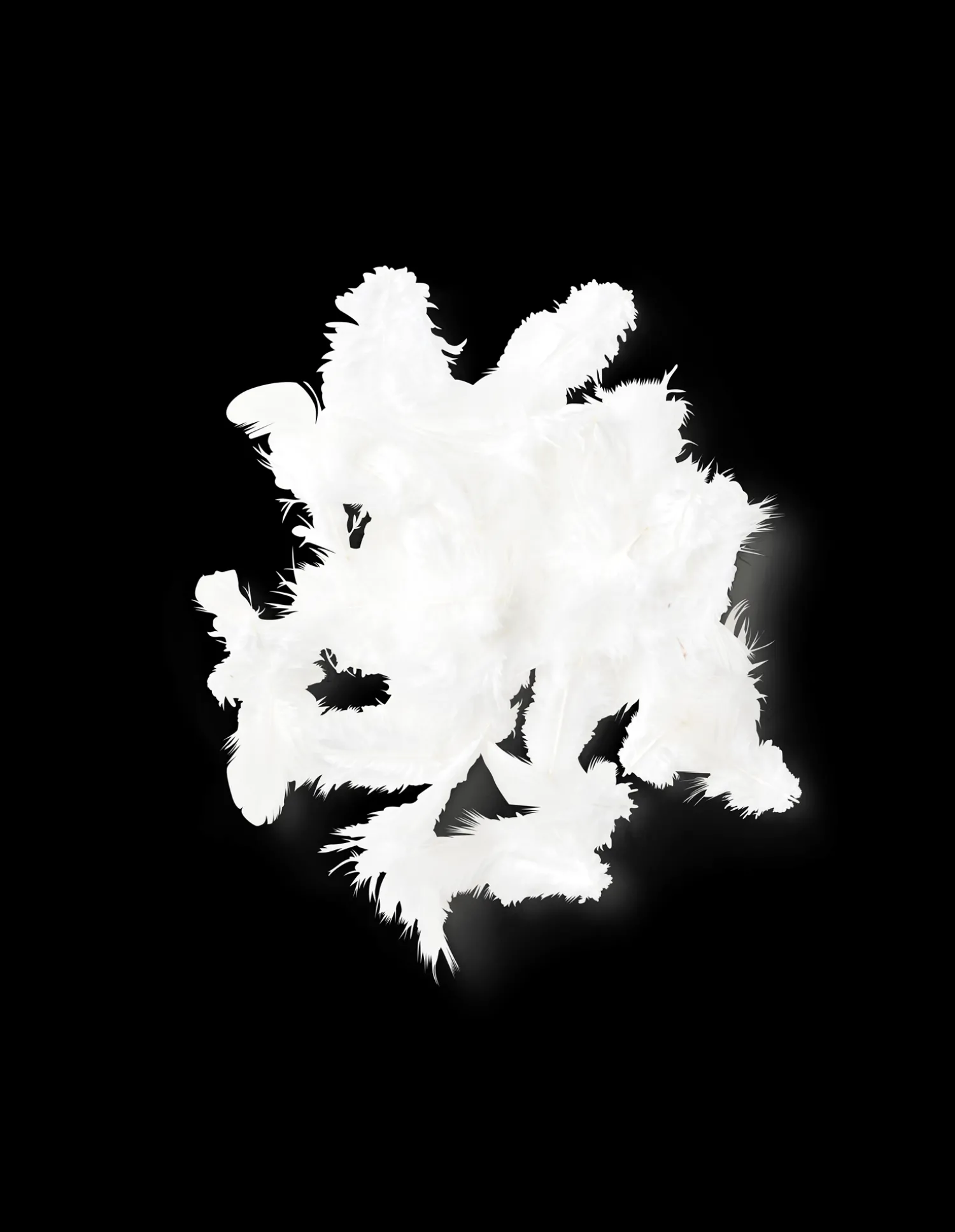 Søstrene Grene Dekoration^Fjer