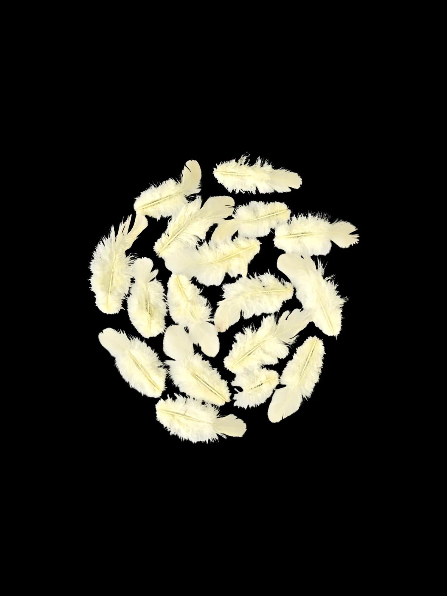 Søstrene Grene Dekoration^Fjer