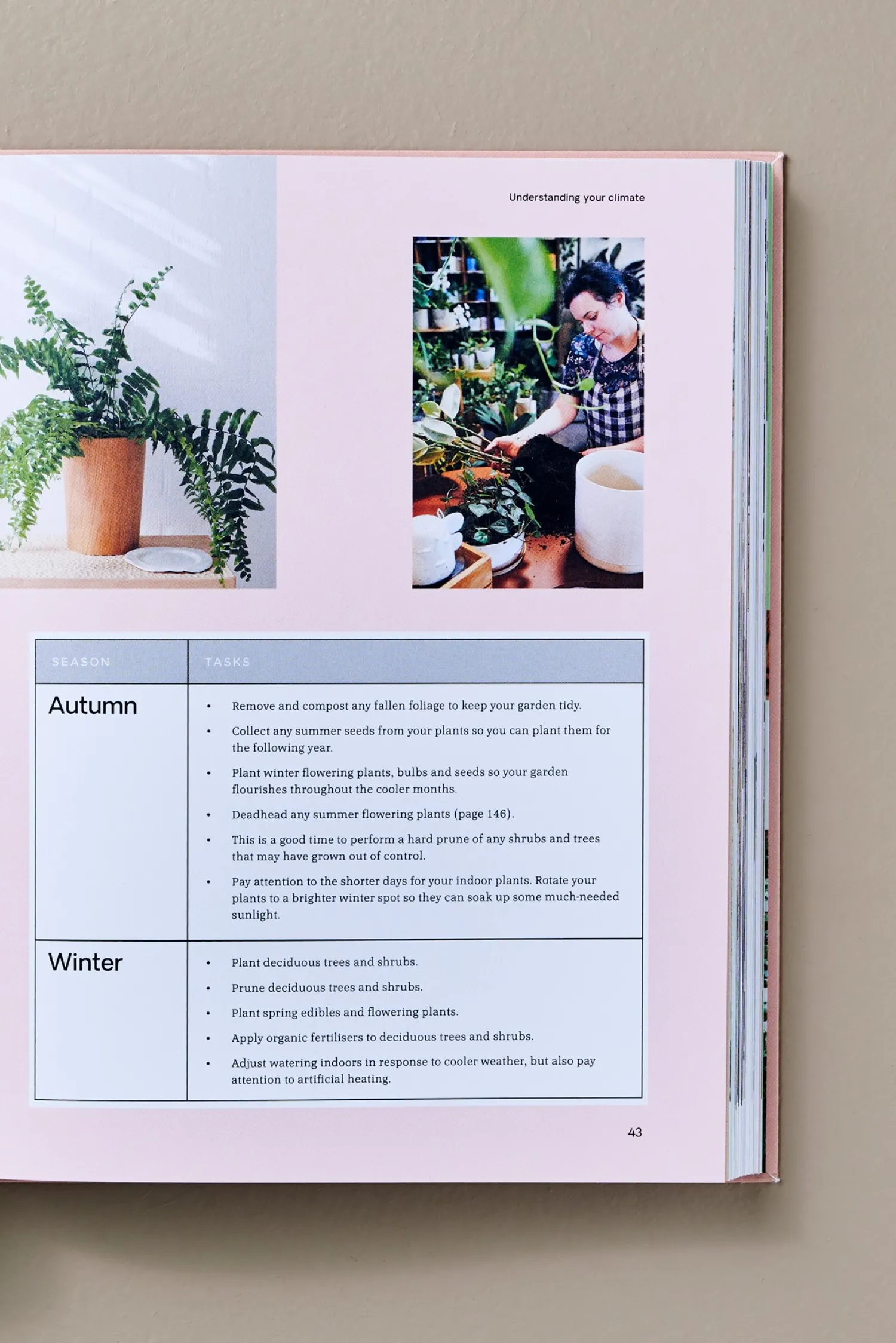 Søstrene Grene Coffee Table Books^Green