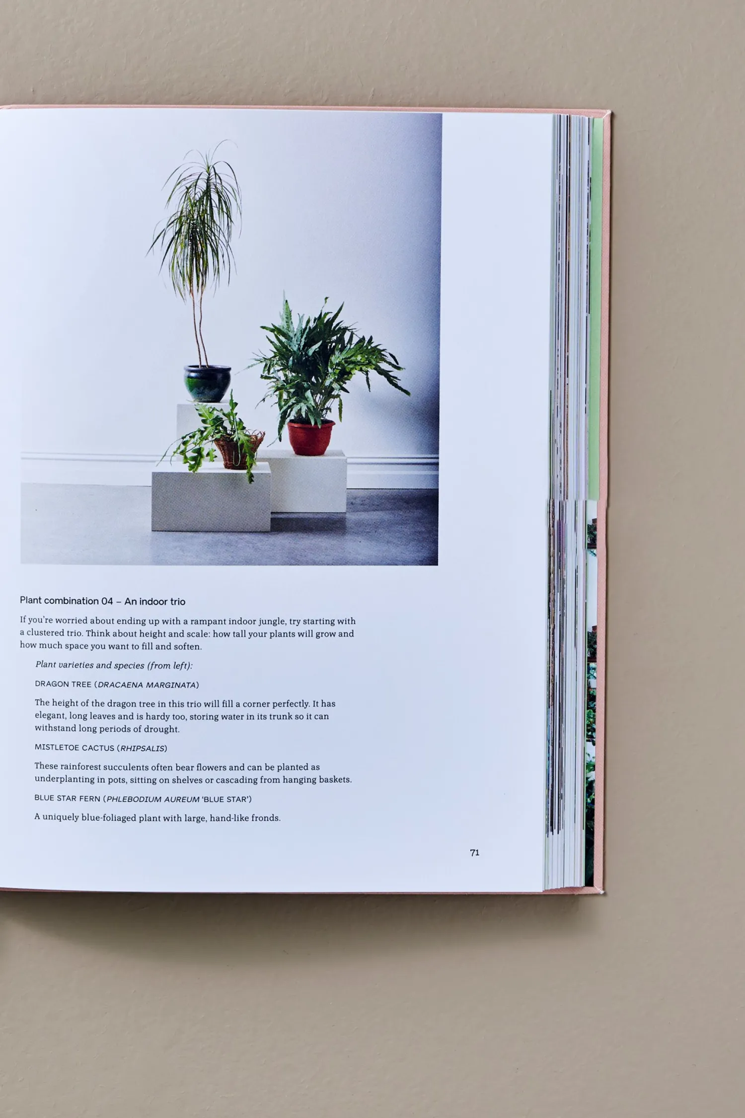 Søstrene Grene Coffee Table Books^Green