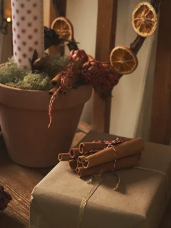 Søstrene Grene Julepynt|Dekoration^Kanel