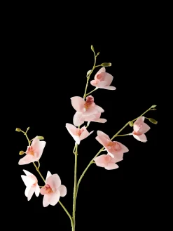 Søstrene Grene Dekoration^Kunstig Blomst