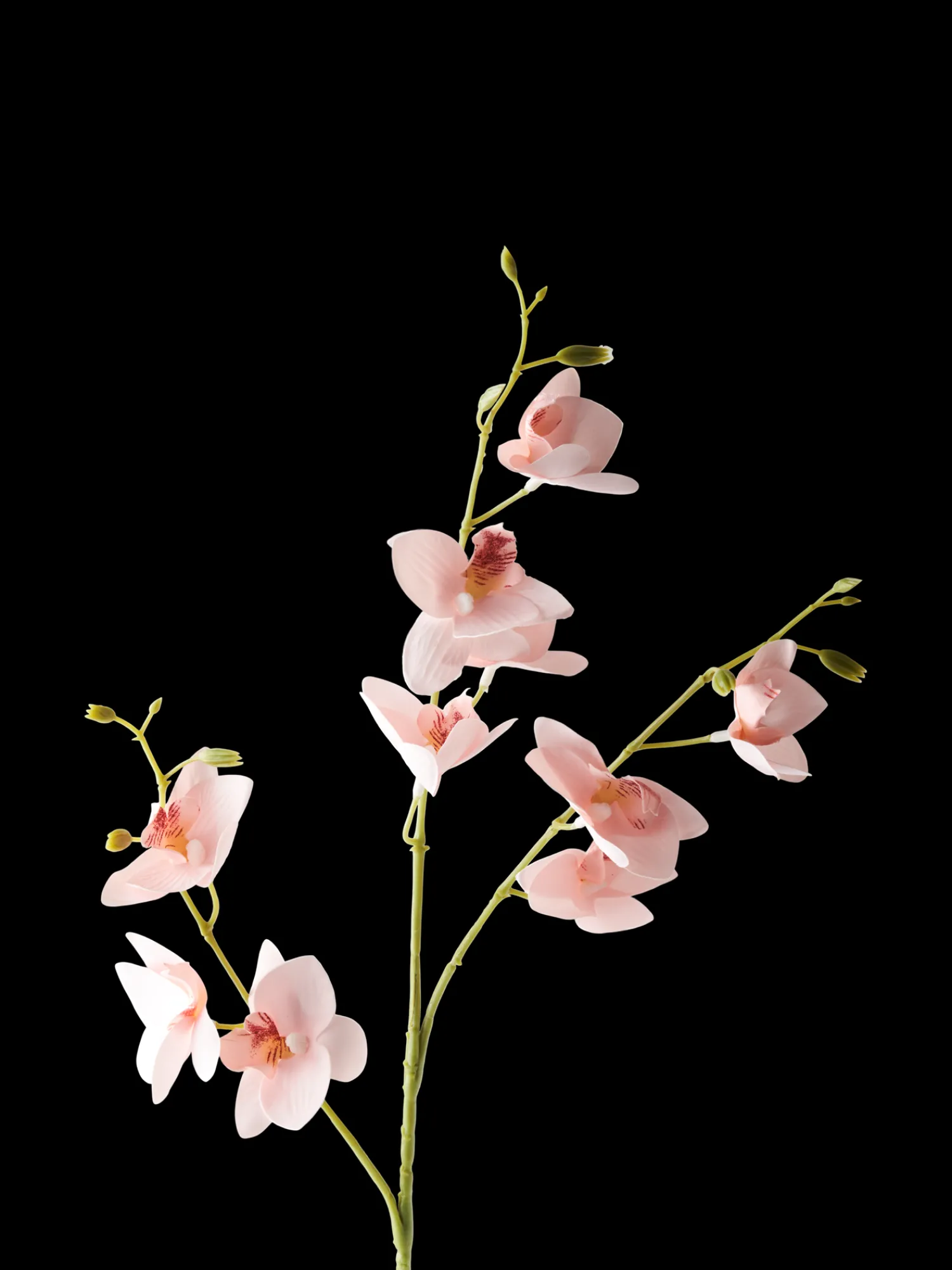 Søstrene Grene Dekoration^Kunstig Blomst