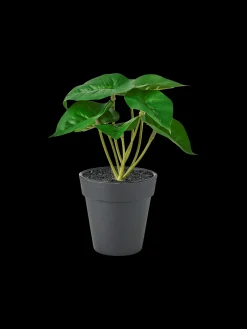 Søstrene Grene Dekoration^Kunstig Blomst I Potte