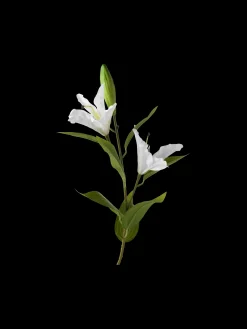 Søstrene Grene Dekoration^Kunstig Liljeblomst