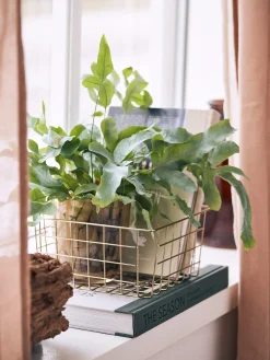 Søstrene Grene Kurve^Kurv