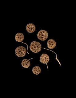 Søstrene Grene Julepynt|Dekoration^Naturdekoration