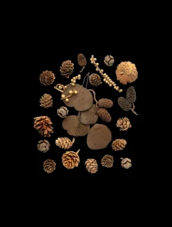 Søstrene Grene Julepynt|Dekoration^Naturligt Pynt