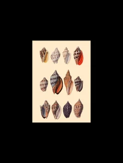 Søstrene Grene Rammer Og Plakater^Plakat 15 X 21