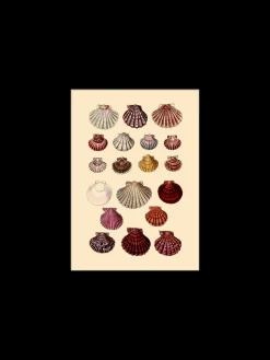 Søstrene Grene Rammer Og Plakater^Plakat 15 X 21