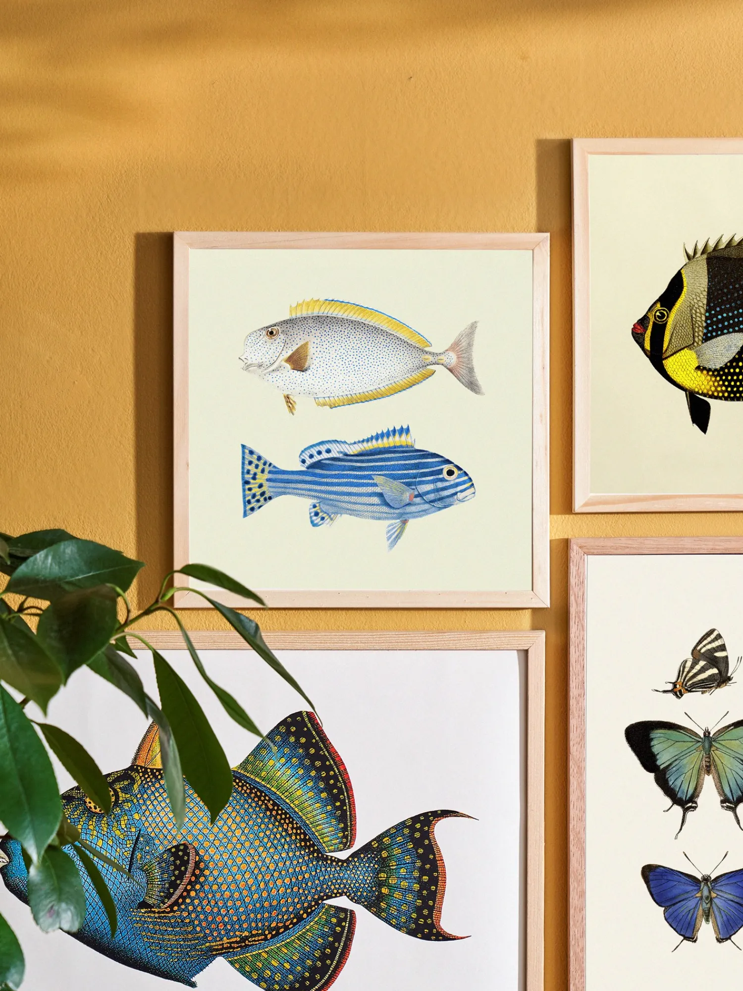 Søstrene Grene Rammer Og Plakater^Plakat 24 X 24