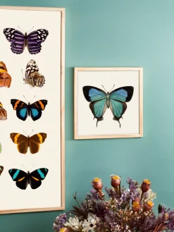 Søstrene Grene Rammer Og Plakater^Plakat 24 X 24