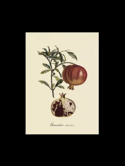 Søstrene Grene Rammer Og Plakater^Plakat A3