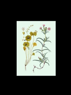 Søstrene Grene Rammer Og Plakater^Plakat A3