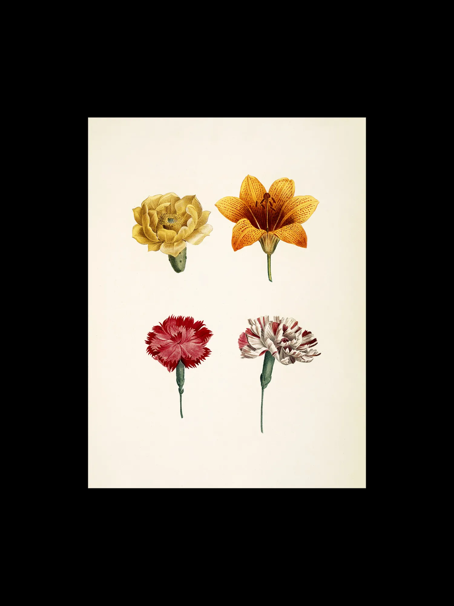 Søstrene Grene Rammer Og Plakater^Plakat A3