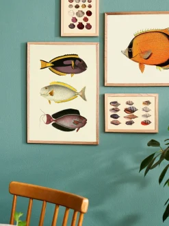 Søstrene Grene Rammer Og Plakater^Plakat A3