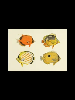 Søstrene Grene Rammer Og Plakater^Plakat A3