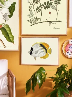 Søstrene Grene Rammer Og Plakater^Plakat A3