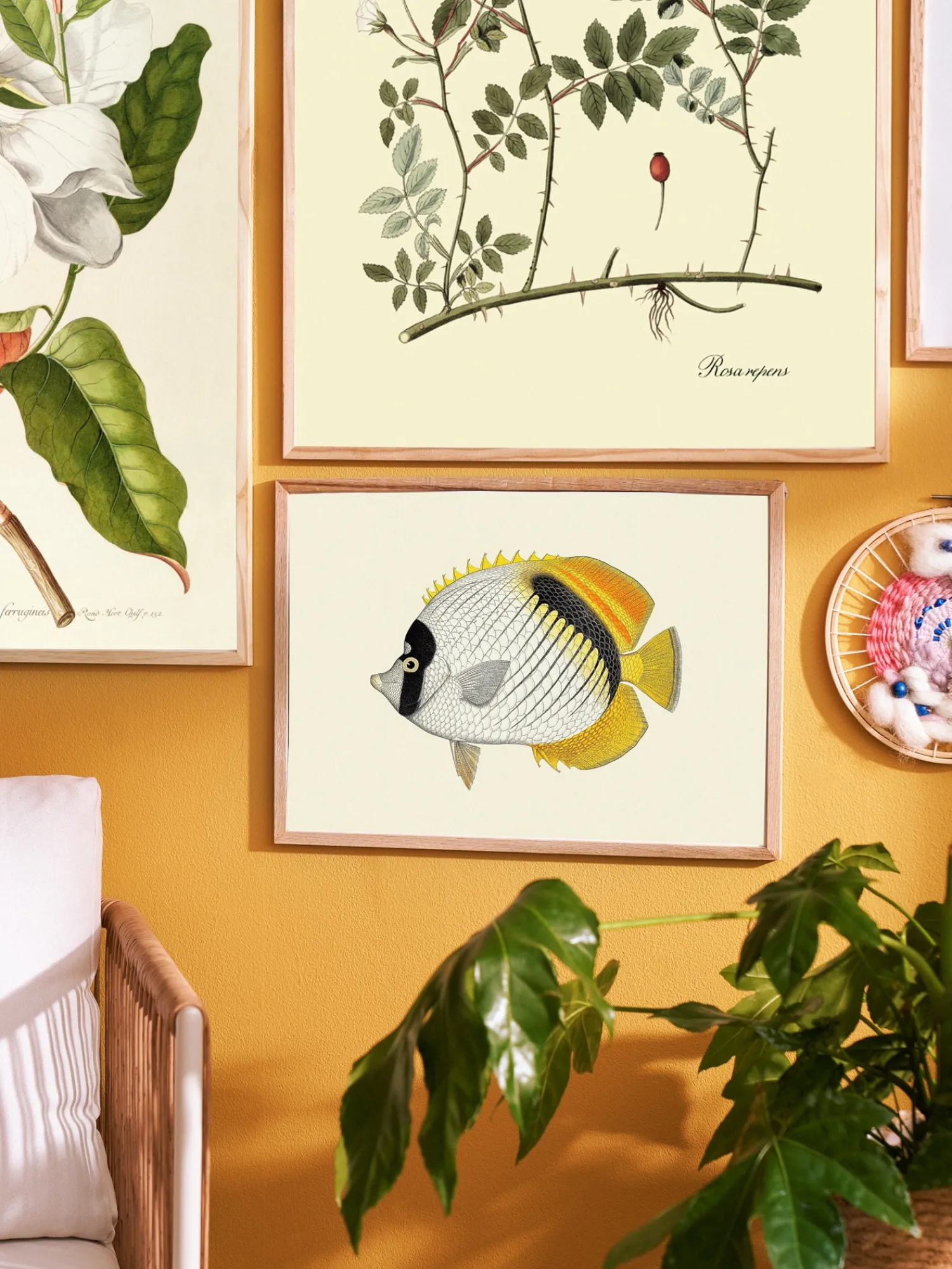 Søstrene Grene Rammer Og Plakater^Plakat A3