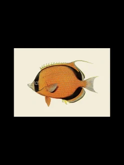 Søstrene Grene Rammer Og Plakater^Plakat A3