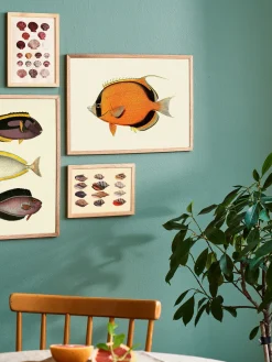 Søstrene Grene Rammer Og Plakater^Plakat A3