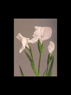 Søstrene Grene Rammer Og Plakater^Plakat A3