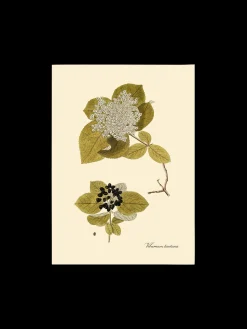 Søstrene Grene Rammer Og Plakater^Plakat A3