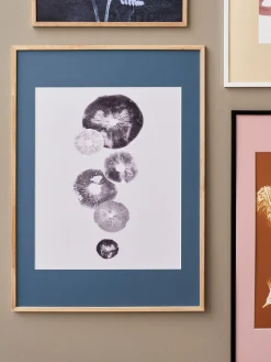 Søstrene Grene Rammer Og Plakater^Plakat Mushroom - 4 Grey 40 X 50