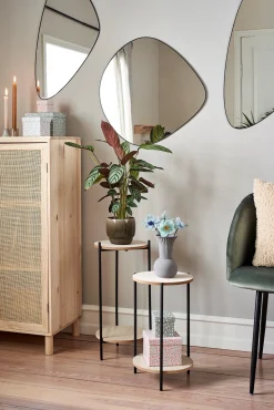 Søstrene Grene Vaser Og Potter^Planteopsats