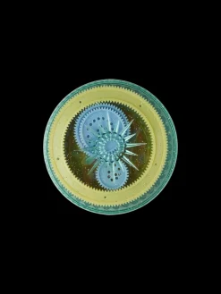 Søstrene Grene Skrive­Redskaber^Spiraltegnesæt