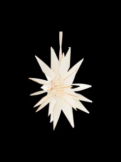 Søstrene Grene Julepynt|Dekoration^Stjerne Til Ophæng Ø10 Cm