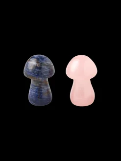 Søstrene Grene På Farten^Svamp Af Natursten