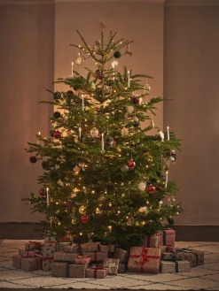 Søstrene Grene Julepynt|Dekoration^Topstjerne