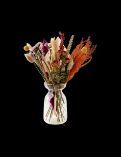 Søstrene Grene Dekoration^Tørrede Blomster BloomPost