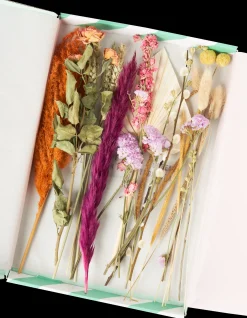 Søstrene Grene Dekoration^Tørrede Blomster BloomPost