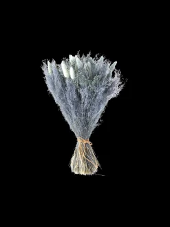 Søstrene Grene Dekoration^Tørrede Blomster Lille