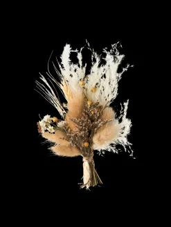 Søstrene Grene Dekoration^Tørrede Blomster Til DIY