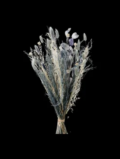 Søstrene Grene Dekoration^Tørrede Blomster Vigga Lille