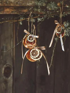 Søstrene Grene Julepynt|Dekoration^Tørrede Limeskiver