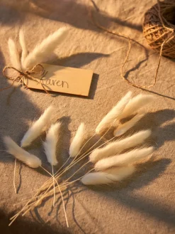 Søstrene Grene Dekoration^Tørret Harehalegræs Til DIY