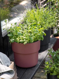 Søstrene Grene Vaser Og Potter^Urtepotte Milly Ø29,9 Cm