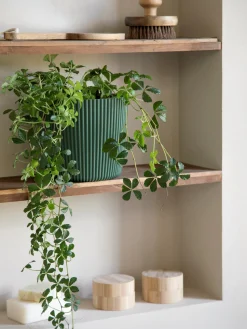 Søstrene Grene Vaser Og Potter^Urtepotte Milly Ø19,6 Cm