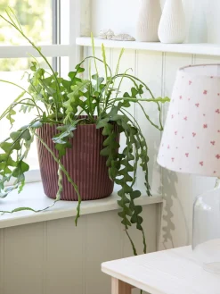 Søstrene Grene Vaser Og Potter^Urtepotte Milly Ø23,6 Cm